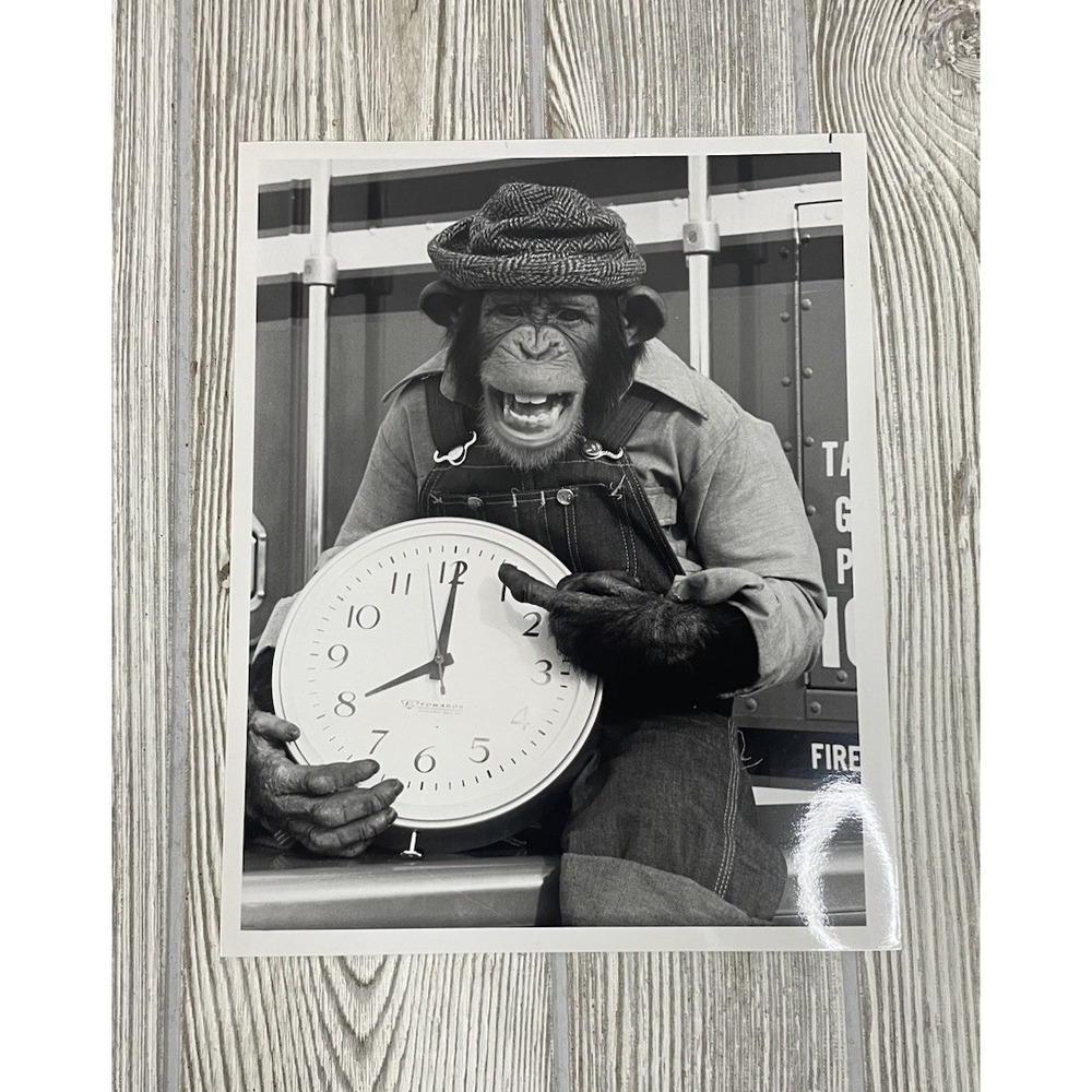 Vintage 1980 NBC Press Photo BJ and the Bear Sam the Chimp TV Memorabilia 7x9